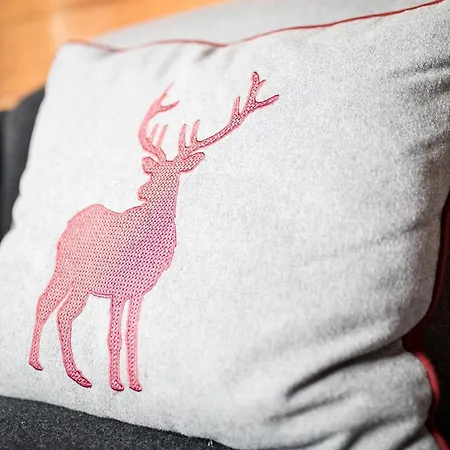 Alpen-chalets Achensee Lägenhet