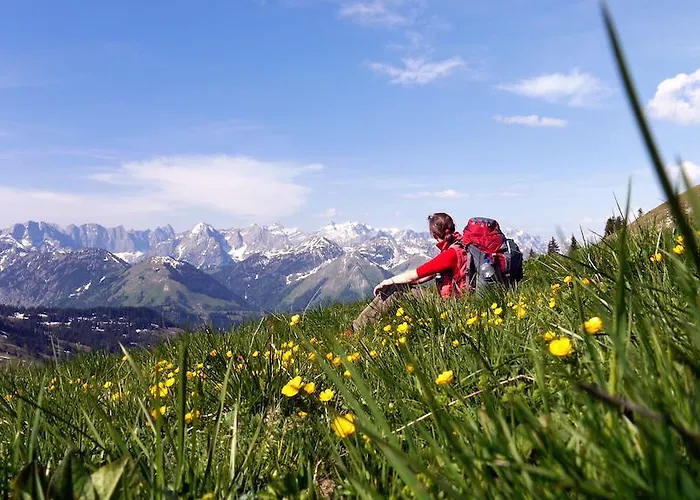 Alpen-chalets Achensee Maurach (Achensee)